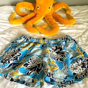 Patagonia Baggie Shorts Women’s Large